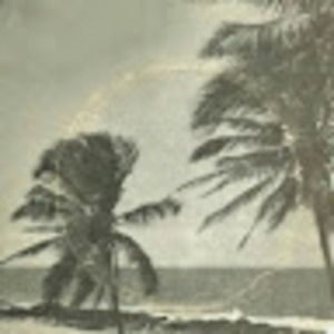 Meet your Posher, Lani